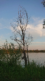 озеро Редькіне